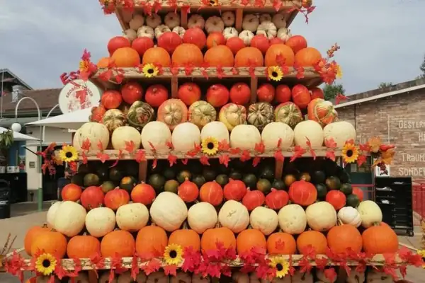 About 30 minutes from Berlin, this adventure village features hundreds of pumpkins, giant figures, and a large pyramid during pumpkin season