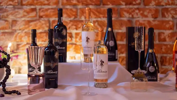 Aldonza Gourmet and its gastronomic proposal arrive in Mexico