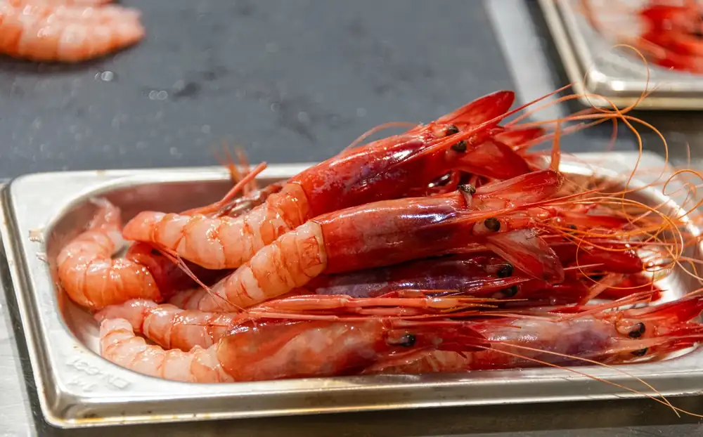 Registration is now open for the XIV International Creative Cooking Competition of the Red Prawn of Denia