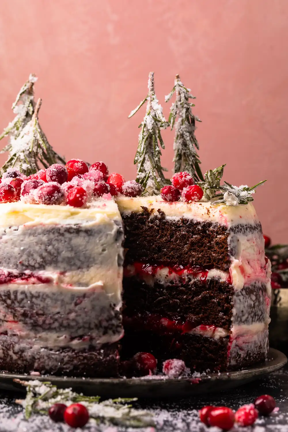 The Best Chocolate Christmas Cake