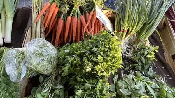Your South Australian market guide for Saturday September 12th and Sunday September 13th