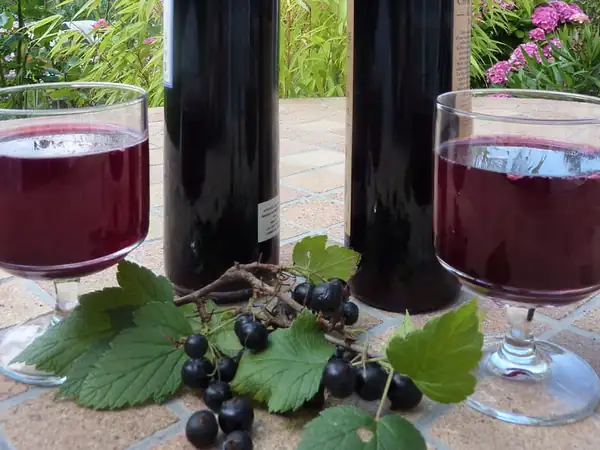 Blackcurrant cream: the best recipe