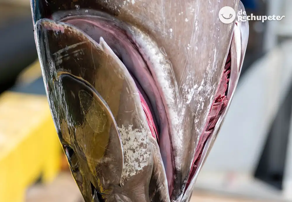 Ike Jime. What is this Japanese technique and what does it involve? Fish aging