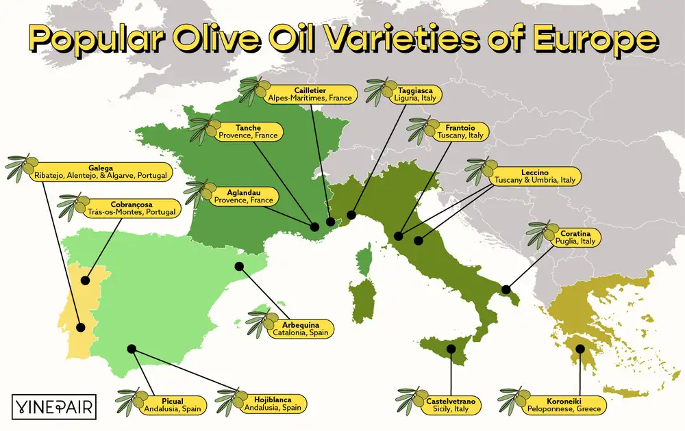 A Visual Guide to Europe's Most Popular Olive Oil Varieties, From Koroneiki to Picual [MAP]