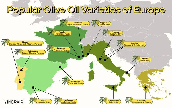 Una guía visual de las variedades de aceite de oliva más populares de Europa, desde Koroneiki hasta Picual [MAPA]