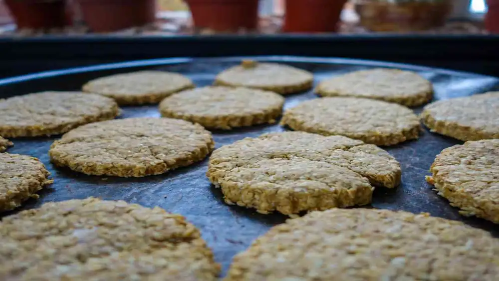 Oatmeal and coconut cookies