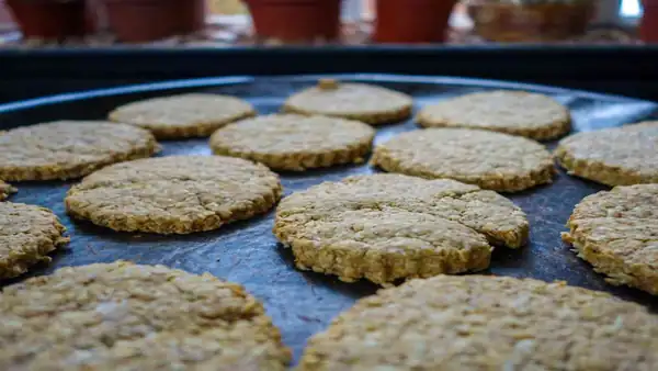 Oatmeal and coconut cookies