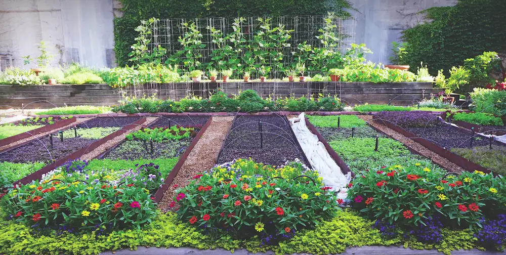 The Bayless Gardens