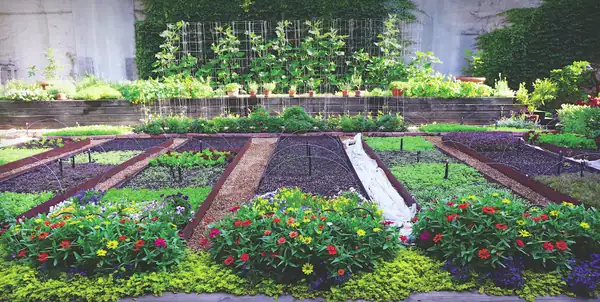 Los Jardines de Bayless