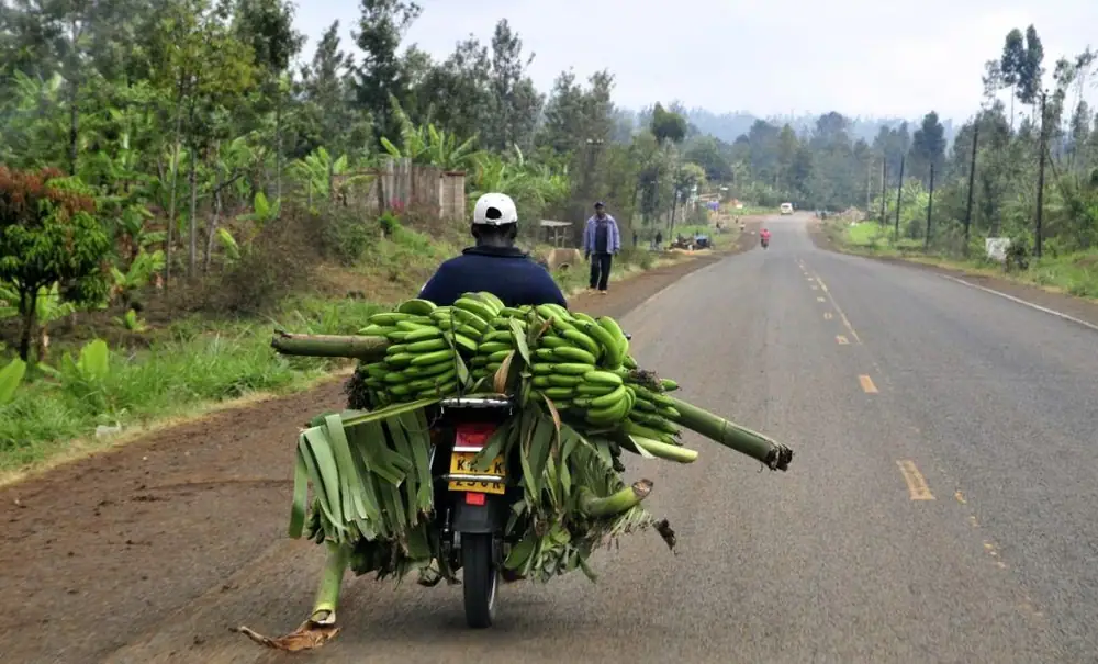 Village Capital lanza FinTech para la agricultura: Aceleradora de África Oriental