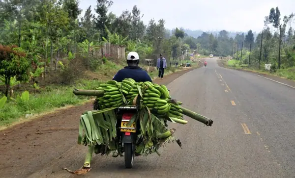 Village Capital Launches FinTech for Agriculture: East Africa Accelerator