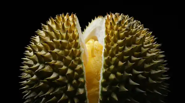 Durian Cake: The Delicious Treat Made From A Super Smelly Ingredient