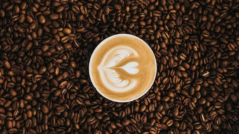 Boost your Cuppa Joe with these Coffee Alternatives