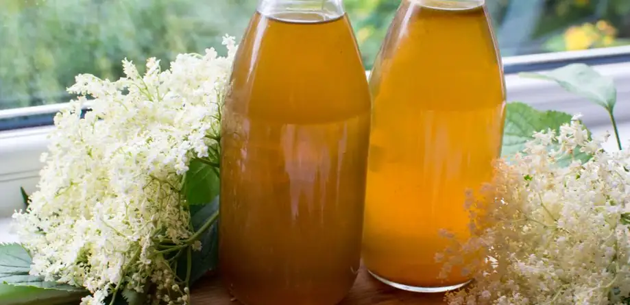 Forget the lemon, this addition will make elderberry syrup even better