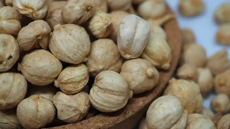 The Practical Reason Green Cardamom Is Bleached