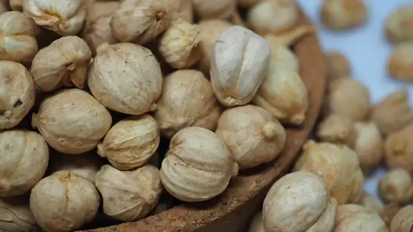 The Practical Reason Green Cardamom Is Bleached