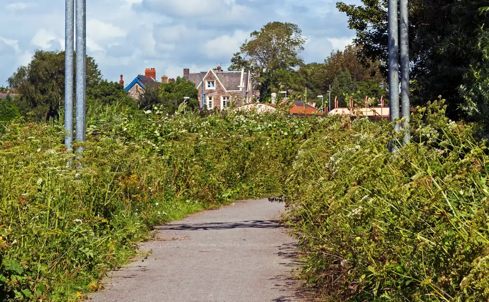 Britain’s favourite walking path has been crowned for 2026