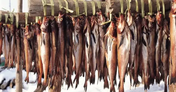 [Seasonal Recipe] The Fish Korea Loves, Pollock