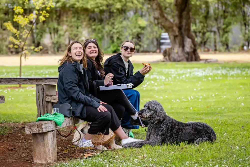 Las bodegas de Coonawarra combinan las catas de noviembre con senderos aptos para perros y yoga matutino