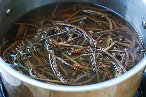 Gosari Namul (Fiddlehead Ferns Side Dish)