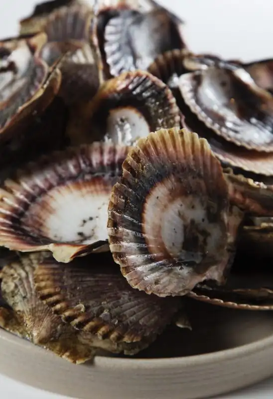 At Crizia, Buenos Aires Finally Has a Great Restaurant That Looks to the Sea