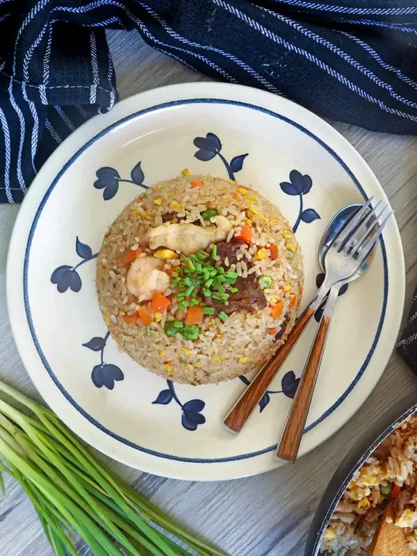 House Special Fried Rice