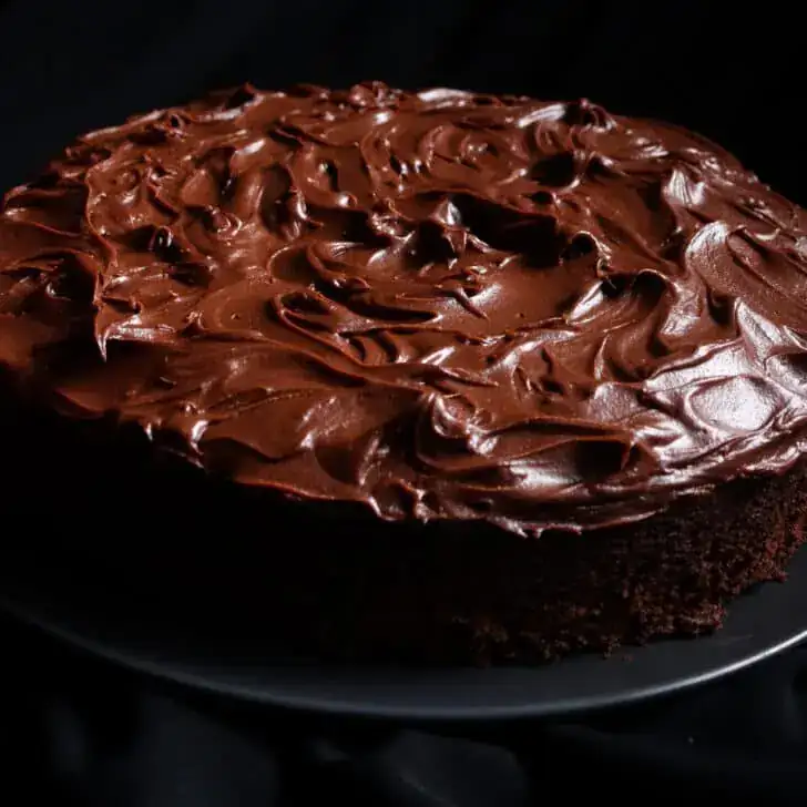PASTEL DE CHOCOLATE DE UNA SOLA CAPA (PASTEL DE 9 PULGADAS)