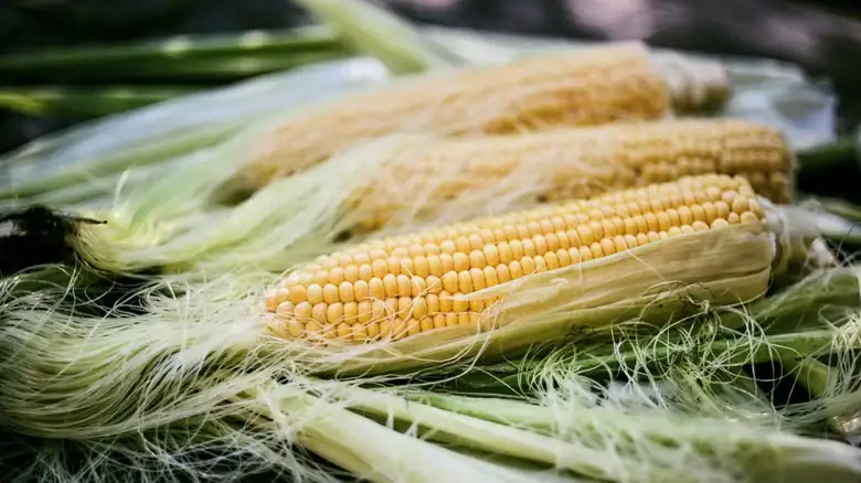 Transform Corn Into Lush, Decadent 'Butter' That Makes The Perfect Pasta Sauce