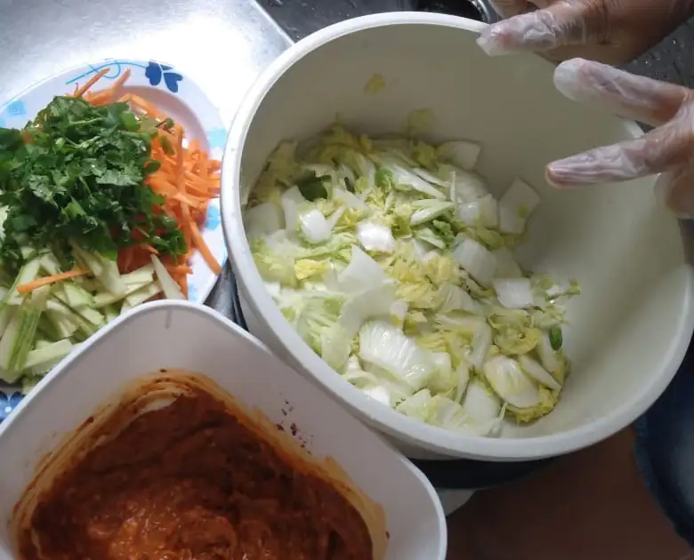 Brazilian Kimchi Recipe, submitted by Byanca Calixto
