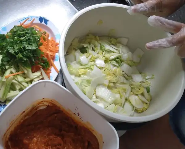 Brazilian Kimchi Recipe, submitted by Byanca Calixto