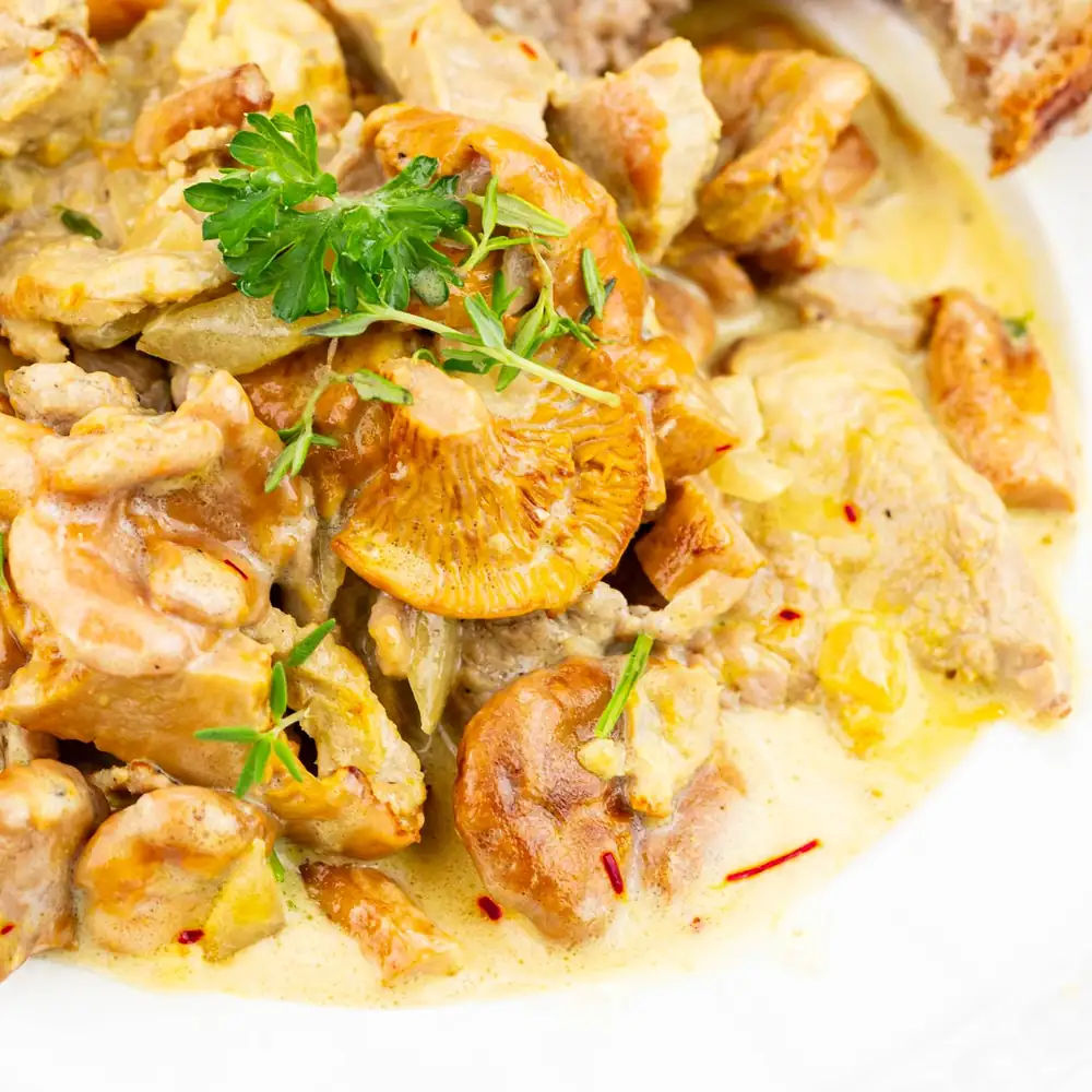 Pork tenderloin in chanterelle sauce