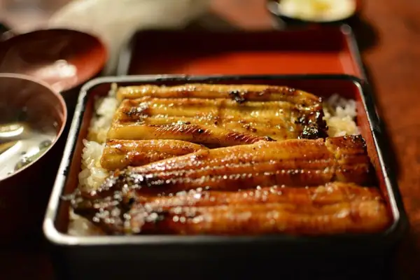 How to Cook Eel (Unagi), Eel Taste & More