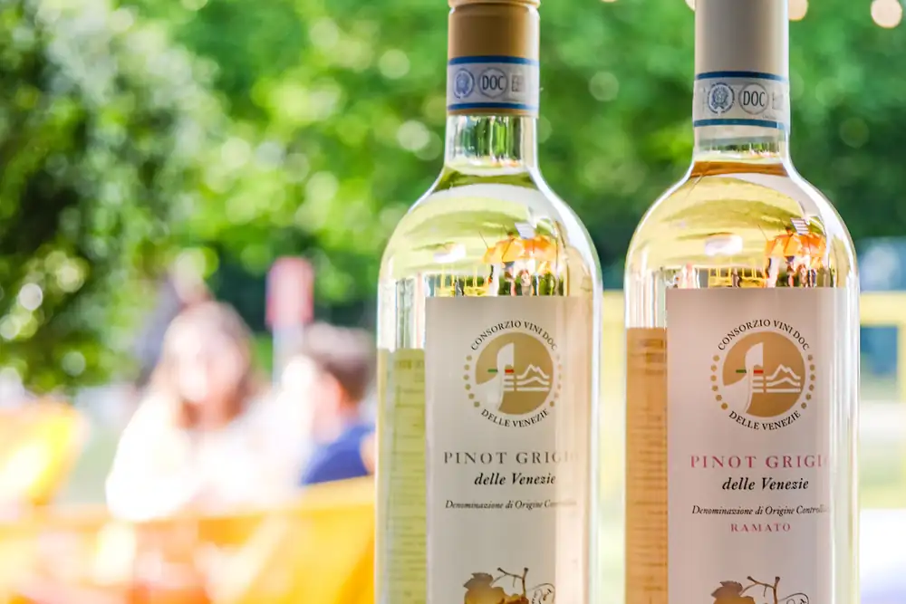 Pinot Grigio DOC delle Venezie and FAI: a collaboration