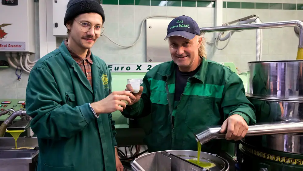 Cosechas tempranas, ética y la búsqueda de un aceite de oliva excepcional