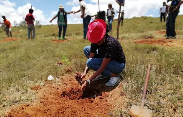 Zebu Investment Partners apoya la agricultura africana desde el cultivo hasta la mesa