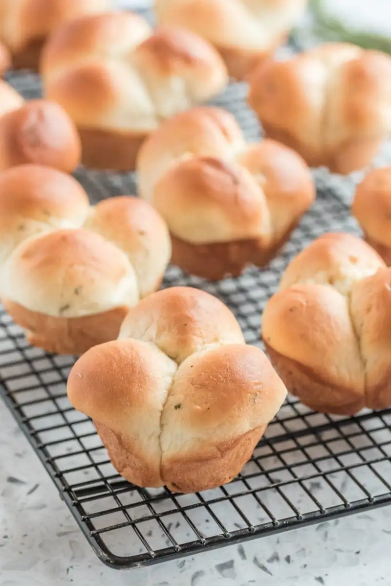 Roasted Garlic and Rosemary Cloverleaf Rolls