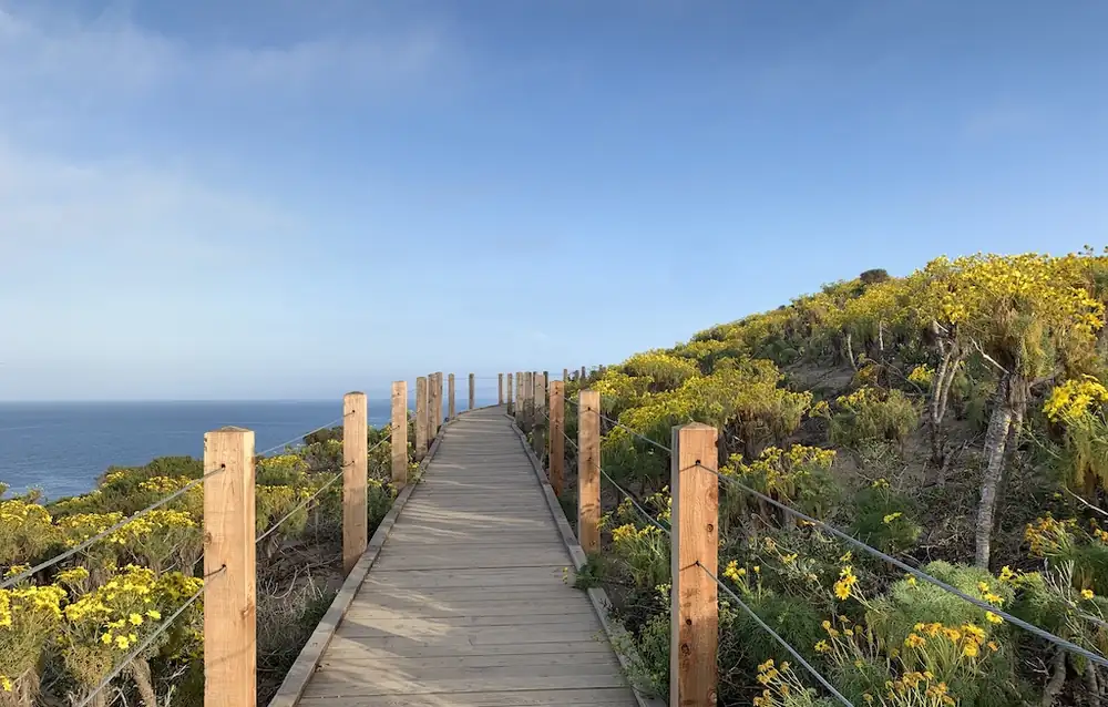 The Perfect Spring Day in L.A.
