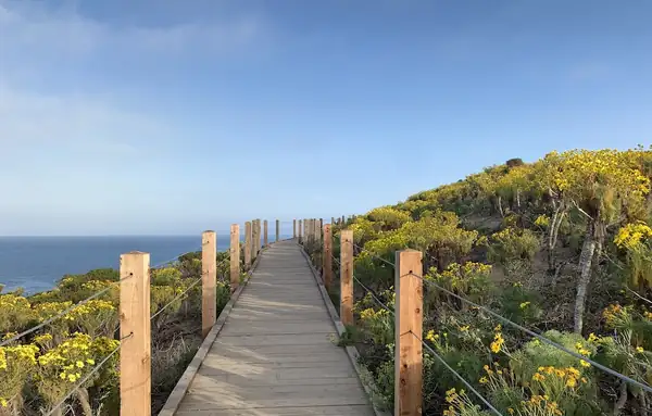 The Perfect Spring Day in L.A.