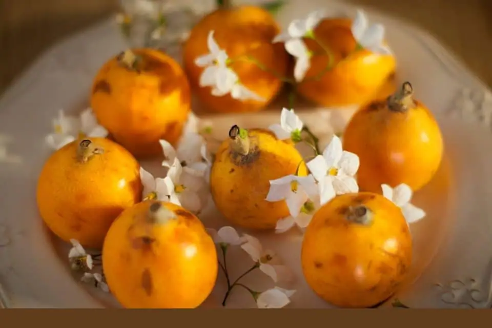 Las 10 frutas salvadoreñas más populares