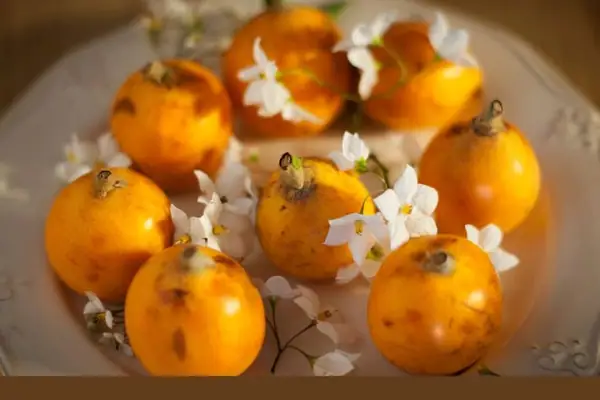 Las 10 frutas salvadoreñas más populares