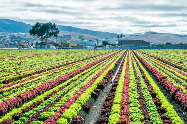 EXCLUSIVE: Biotech Dominates THRIVE Top 50 in AgTech List