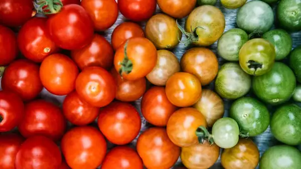 Try This Tomato Swap For Vibrant And Tangy Homemade Ketchup