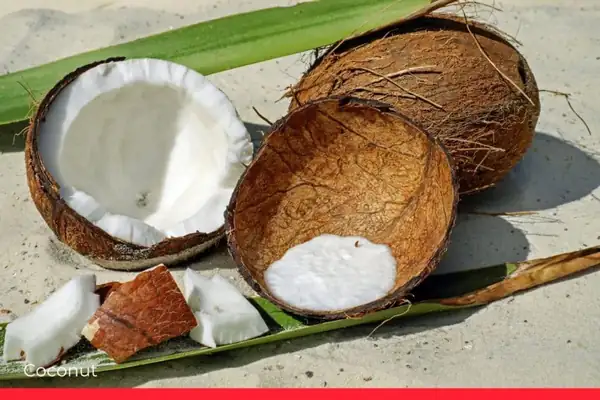 35 Tropical Fruits From Around the World You Should Try
