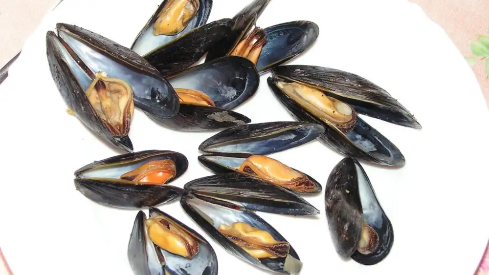 Homemade Seafood Recipes