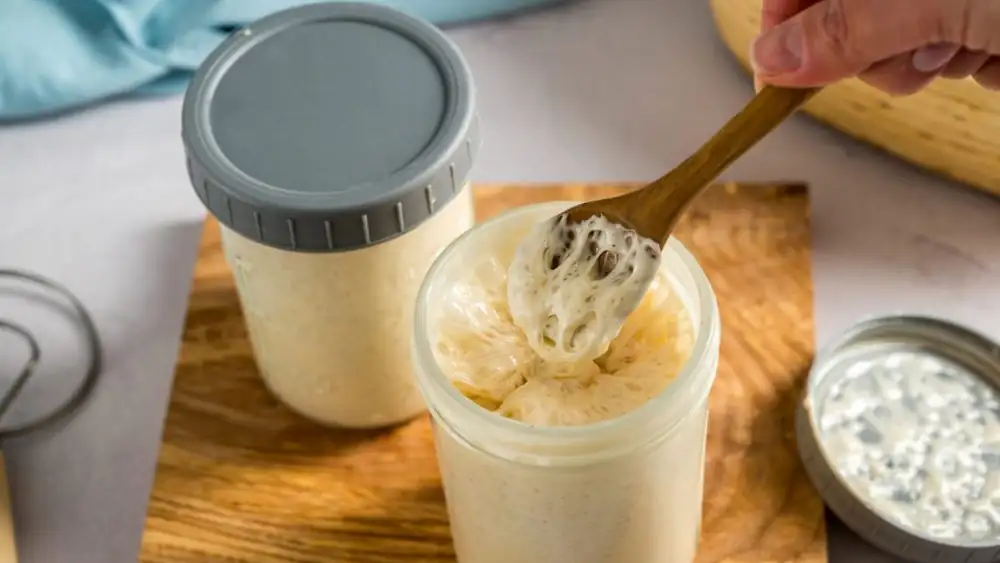 How to Refresh Sourdough: The Complete Guide
