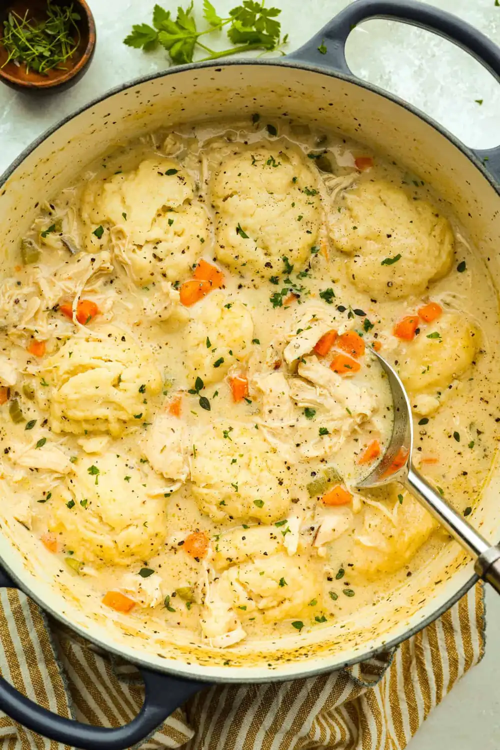I Thought Chicken Soup Was Cozy… Then I Added These Dumplings