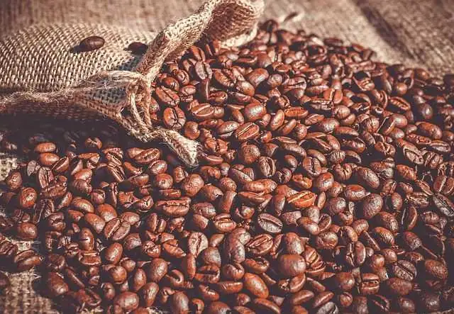 Regenerative agriculture in Brazil: 80,000 ha certified under the new Rainforest Alliance scheme, yielding a harvest of 1.6 million bags