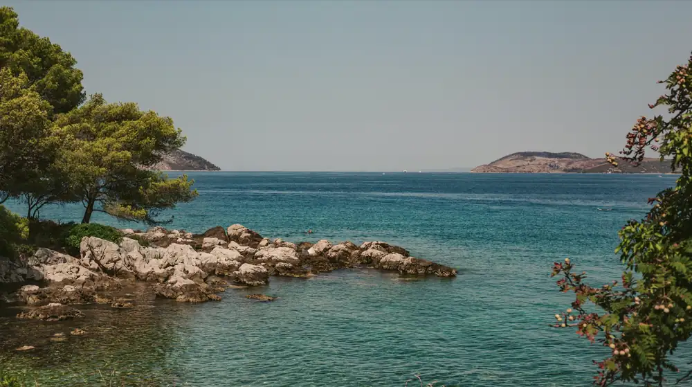 Tastes of Croatia: Gastronomic Experiences from the Coast to the Inland