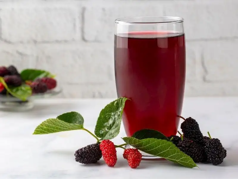 Delicious Recipes: Black Mulberry Sherbet Recipe