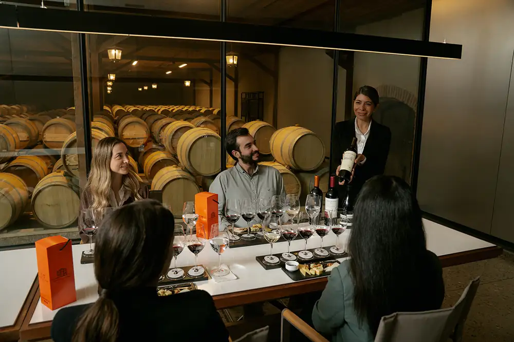 Centro Vitivinícola Concha y Toro: la escapada desde Santiago que te absorbe medio día (y no te quejarás)